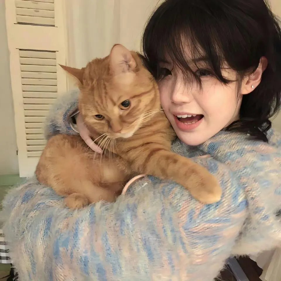 暗芝居第十五季